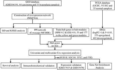 Identification of a Four-Gene Signature With Prognostic Significance in Endometrial Cancer Using Weighted-Gene Correlation Network Analysis